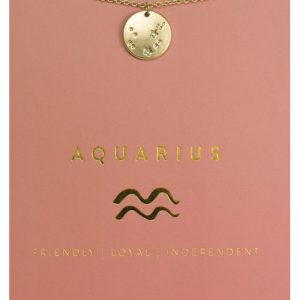 Aquarius Necklace